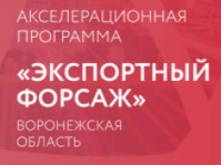 В Центре поддержки экспорта Воронежской области стартовал второй в 2022 году Экспортный Форсаж